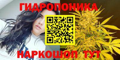 мдпв Лесосибирск