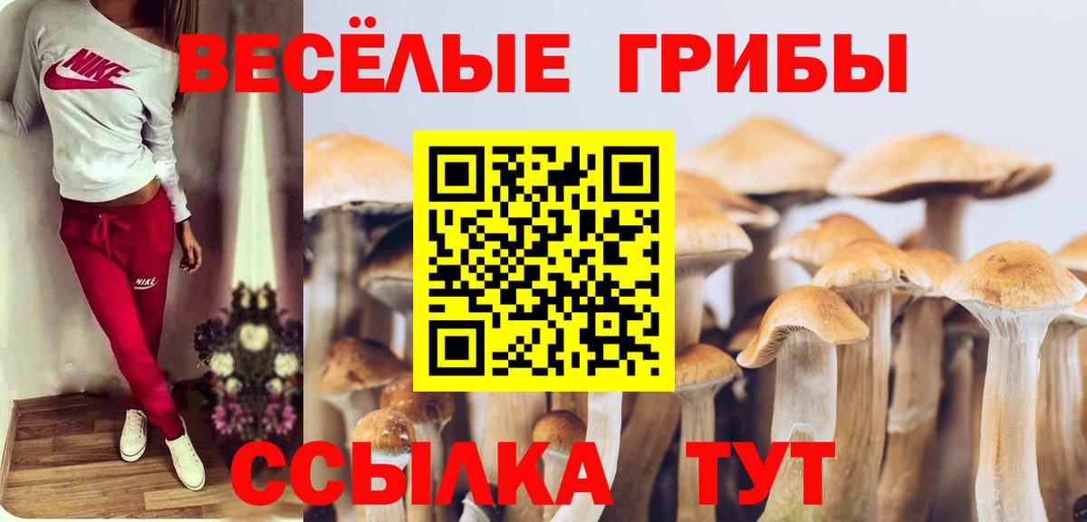 Псилоцибиновые грибы мицелий Берёзовский